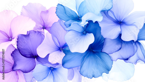 A beautiful floral composition features translucent petals in delicate shades of purple and blue, evoking a watercolor effect