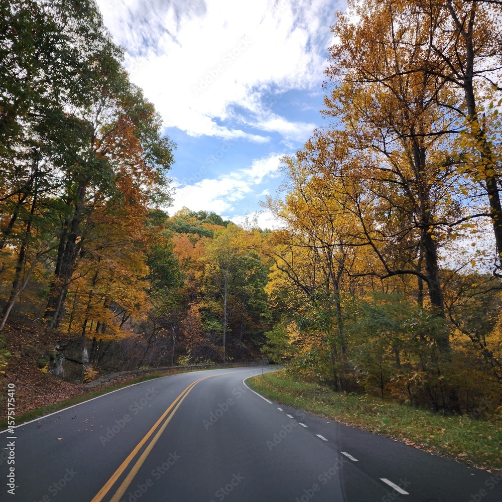 Fototapeta premium Two lane road during with Autumn colored trees