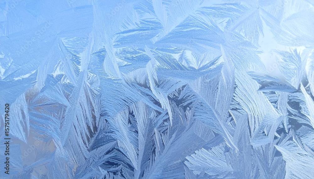 Obraz premium Intricate ice patterns and frozen fractals create a winter wonderland on a window pane with delicate crystal formations.