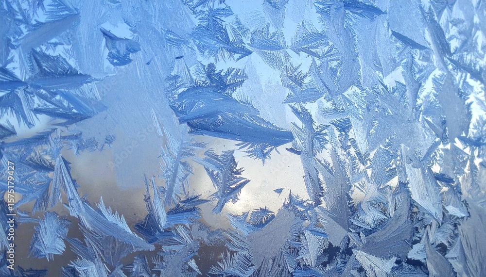 Obraz premium ice on the window