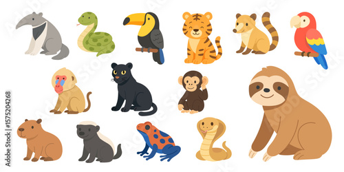 cartoon set of South American jungle animals: anteater, anaconda, toucan, tiger, coati, parrot, baboon, jaguar, monkey, capybara, honey badger, frog, cobra, and sloth. Cute wild south america animals
