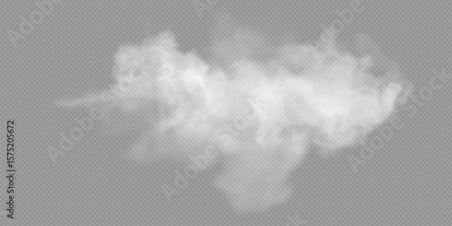 Fog or smoke isolated transparent special effect. White vector cloudiness, mist or smog background. Vector illustration