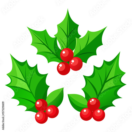 Three clusters of festive green holly leaves with bright red berries on a white background