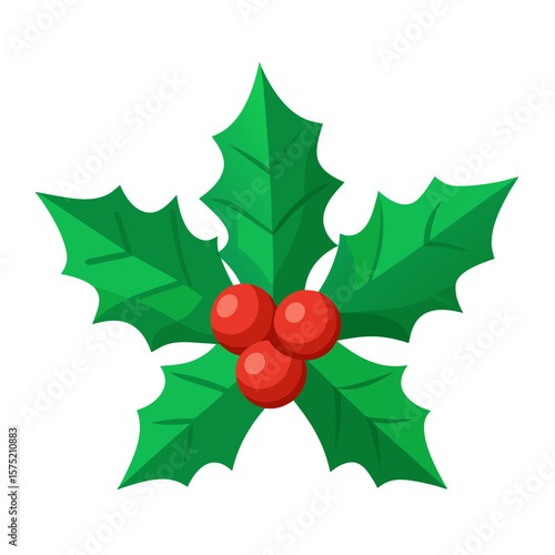 Festive green holly leaves with bright red berries isolated on white background