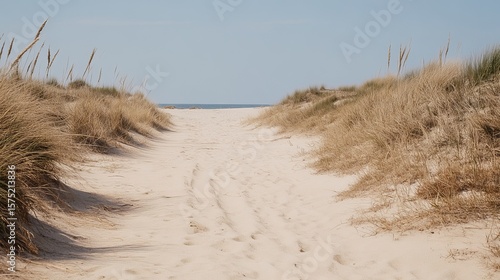 Sandy path through coastal dunes leading to a tranquil beach under a clear sky
