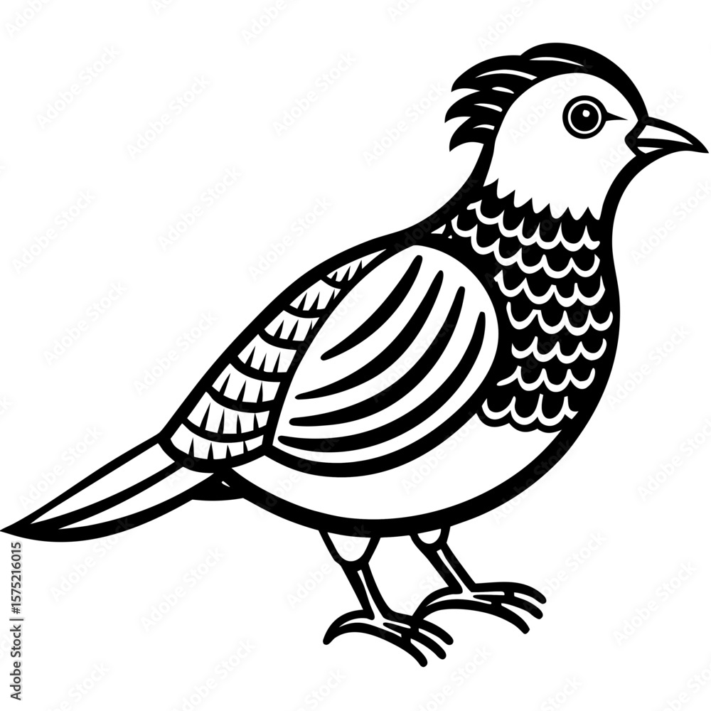 Obraz premium Stylized black and white bird with detailed feathers and crest silhouette