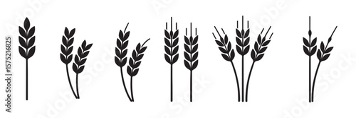 wheat icon, Grey Cereals icon set with rice, wheat, corn, oats, Vector farm wheat ears icon, Gluten free icon, Wheat logo. Icon bakery. Spike wheat. Bread grain