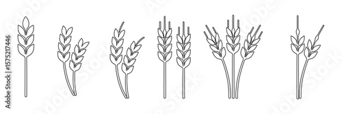 wheat icon, Grey Cereals icon set with rice, wheat, corn, oats, Vector farm wheat ears icon, Gluten free icon, Wheat logo. Icon bakery. Spike wheat. Bread grain