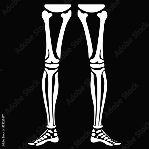 Stylized white human skeleton legs and feet against a black background
