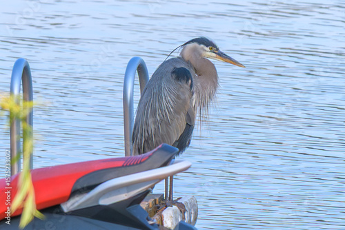 the patient fisherman
