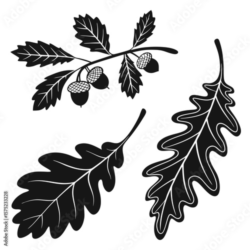 Oak leaves and acorns silhouette design