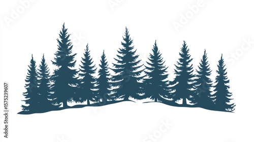 Silhouetted Pine Forest