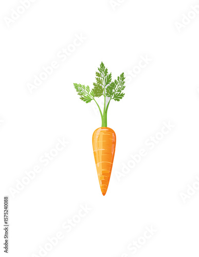 carrots