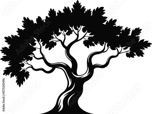 Black Silhouette of a Large Twisted Tree with Full Foliage Abundant Leaves Branches Nature