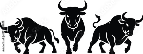 Three powerful black bulls in silhouette 