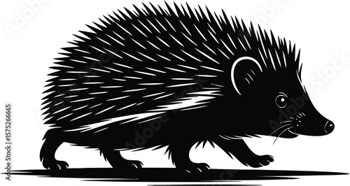 Black hedgehog walking silhouette animal wildlife