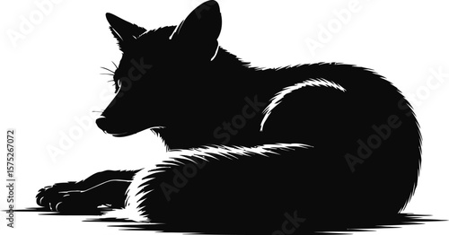 Black fox resting on white background silhouette animal