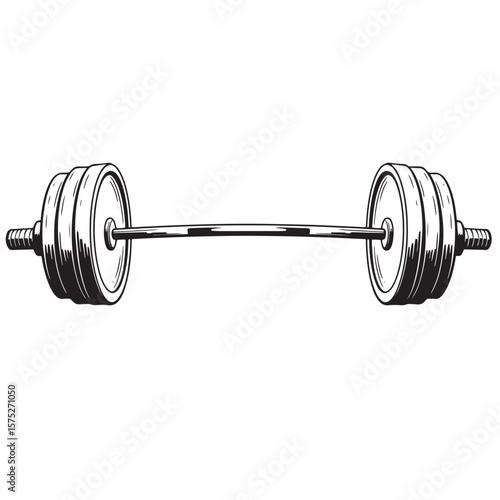 Hand drawn illustration of a barbell showing weight plates ready for a workout session