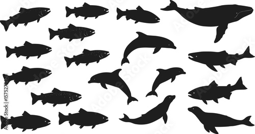 Silhouette of sea animals, fish, dolphin, whale, seal, marine life, aquatic creatures, ocean wildlife, vector set, black icons