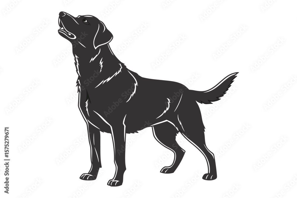 Obraz premium other elements. no background. dog.