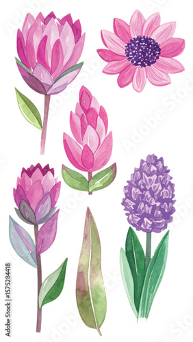 Watercolor Pink and Purple Flower Vector Collection. Bohemian Botanical Clipart