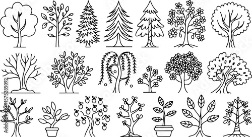 Collection of simple black and white line art drawings of various trees including deciduous coniferous flowering and fruit bearing trees