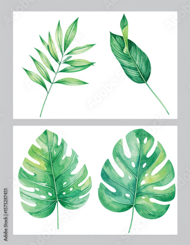 Watercolor Tropical Leaves Vector Collection. Hand-Painted Monstera and Palm Botanical Clip Art