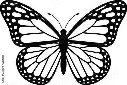 Monarch butterfly wing pattern insect wings