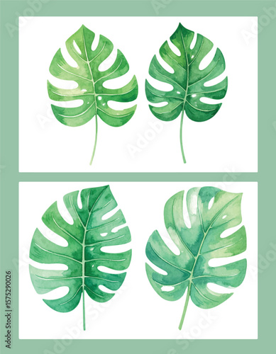 Tropical Monstera Leaf Vector Collection. Watercolor Botanical Set with Green Border Frame