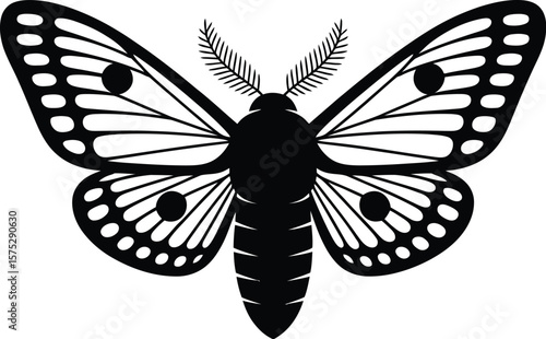 Black moth with patterned wings insect white