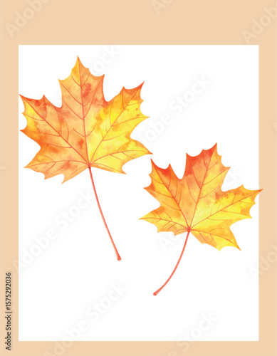 Vector Watercolor Autumn Maple Leaves Illustration. Fall Season Clipart on White Background