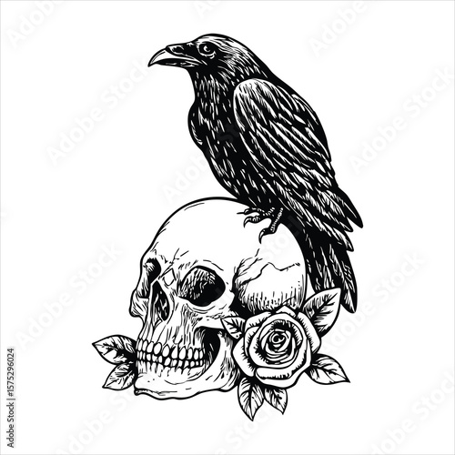 Raven perched atop a human skull adorned with a blooming rose, creating a striking and macabre image isolated on white background