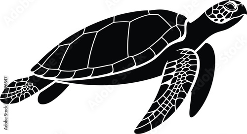 Black sea turtle swimming underwater marine life ocean