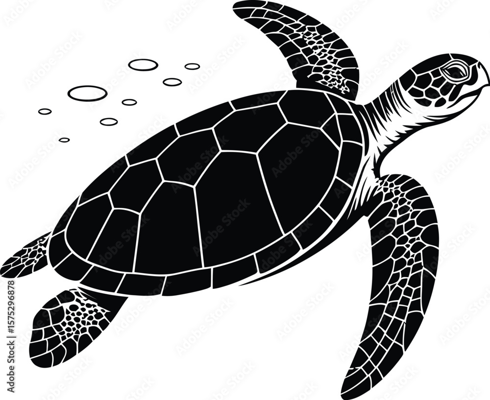 Fototapeta premium Black sea turtle swimming with bubbles marine life