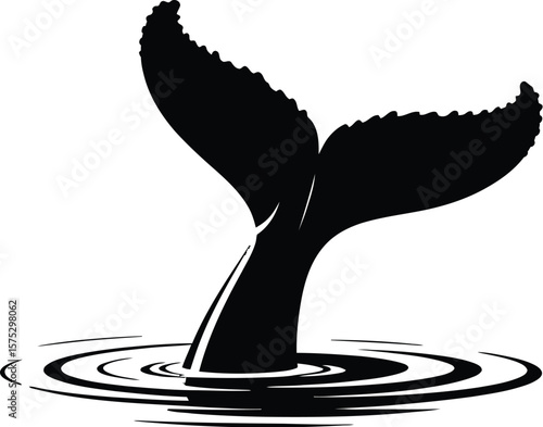 Black whale tail splashing in water fluke white