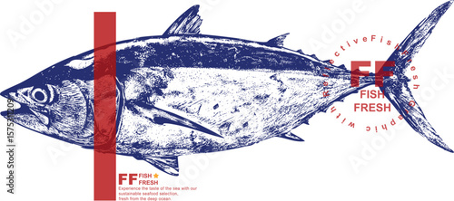 Tuna fish graphic vector blue silhouette vintage style seafood illustration hand drawn sketch engraving retro art isolated on white background for packaging label logo restaurant menu print design
