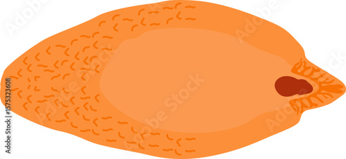 Liver Fluke
