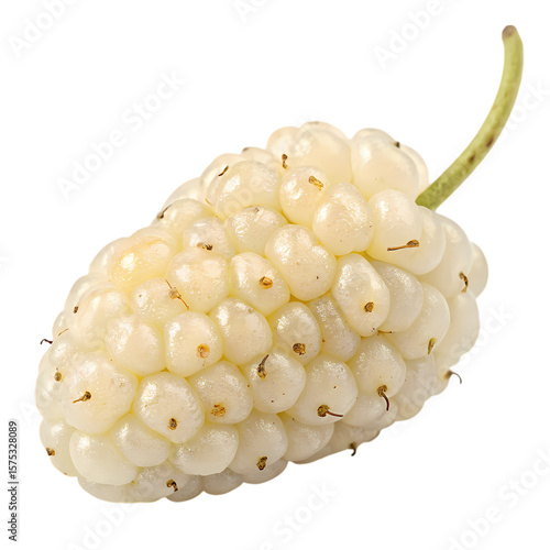 White Mulberry Fruit Closeup isolated on transparent baackground