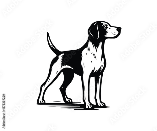 pointer dog graphic design, duck hunting pointer dog vector illustration art