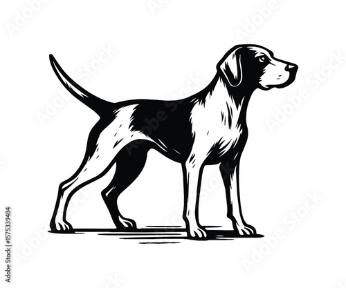 pointer dog graphic design, duck hunting pointer dog vector illustration art