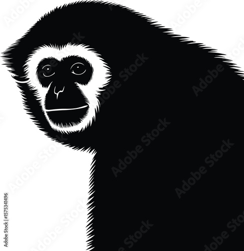 Black gibbon primate face monkey black and white