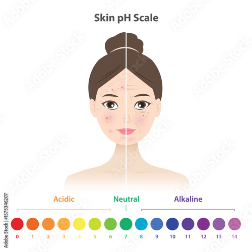 Comparison of low and high skin pH scale on woman face vector illustration. Low skin pH scale is acidic, acne prone, oily skin and inflammation. High pH is alkaline, dry, premature aging and wrinkle.