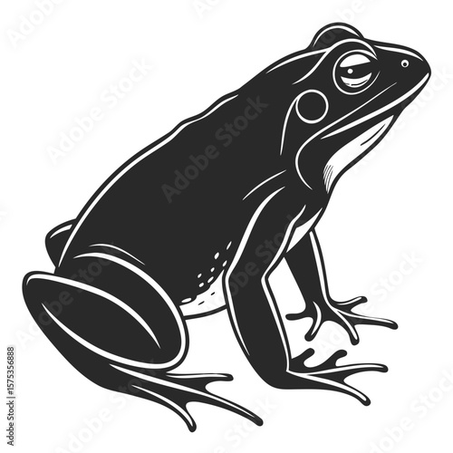 Isolated Black Silhouette of a Frog on White Background