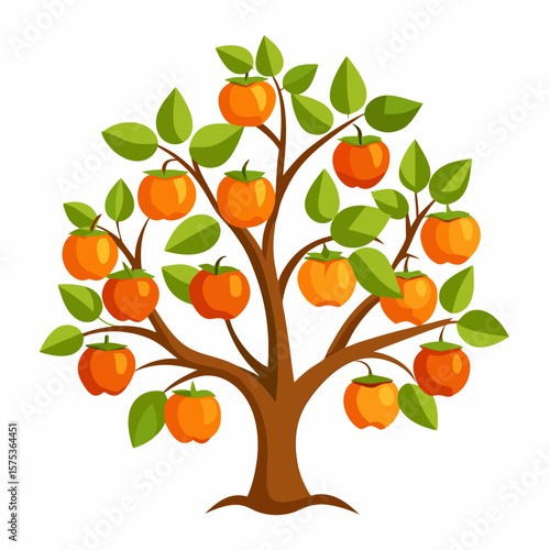 vector illustration of an orange tree