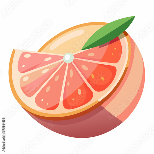 vector illustration of a grapefruit