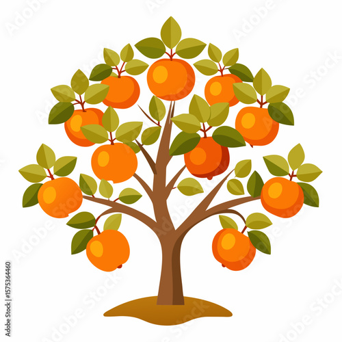 vector illustration of an orange tree