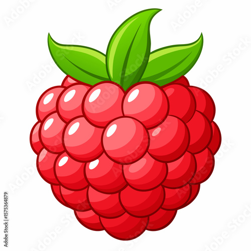 raspberry with leaves