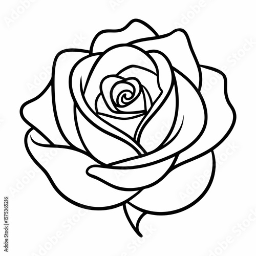 black and white rose