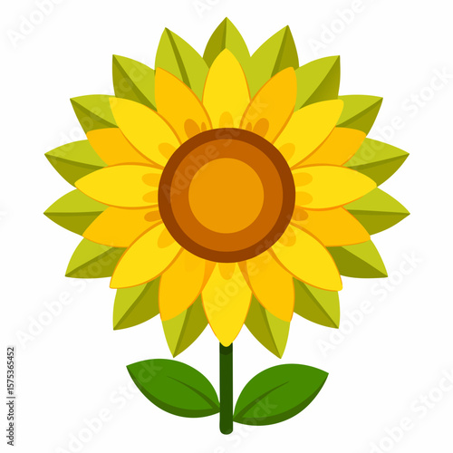 sunflower isolated on white