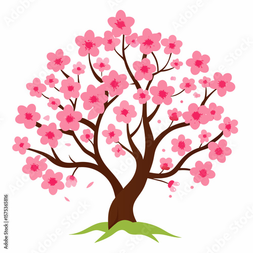 cherry blossom tree
